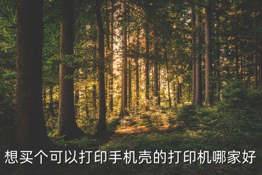 手機(jī)殼打膠機(jī)器自動(dòng)化設(shè)備,手機(jī)殼打印機(jī)哪個(gè)好用?