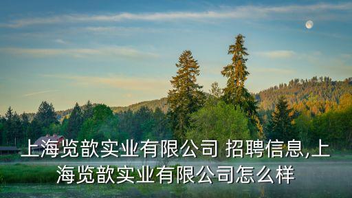 上海覽歆實(shí)業(yè)有限公司 招聘信息,上海覽歆實(shí)業(yè)有限公司怎么樣