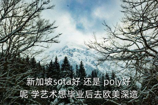 新加坡sota好 還是 poly好呢 學(xué)藝術(shù)想畢業(yè)后去歐美深造