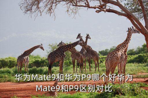 mate9和p9數(shù)據(jù)線一樣么,華為mate9數(shù)據(jù)線型號(hào)