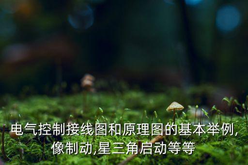 電氣自動(dòng)化接線圖實(shí)物,電氣控制接線圖和原理圖看這里!