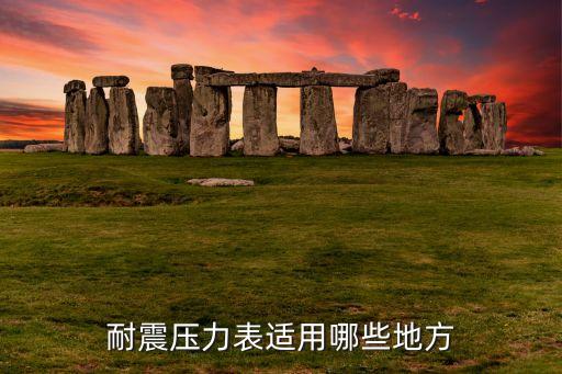 耐震壓力表，耐震壓力表干什么用的比如電廠循環(huán)水泵有個(gè)出口壓力表還有一