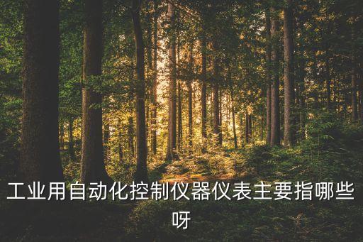 工業(yè)用自動化控制儀器儀表主要指哪些呀