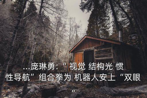 ...龐琳勇:“ 視覺 結(jié)構(gòu)光 慣性導(dǎo)航”組合拳為 機(jī)器人安上“雙眼”