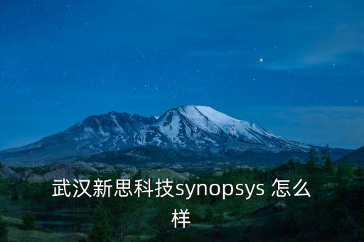 武漢新思科技synopsys 怎么樣