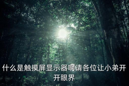 觸摸屏顯示器，觸摸顯示器哪款好求推薦一款觸摸顯示器