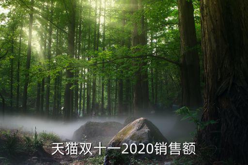 天貓11爆假數(shù)據(jù),天貓雙11成交額突破3723億元?jiǎng)?chuàng)紀(jì)錄
