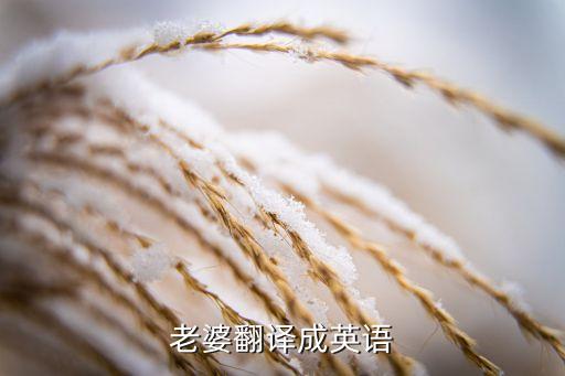 wafe，wafe 什么意思