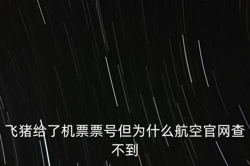 飛豬給了機票票號但為什么航空官網(wǎng)查不到