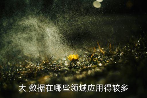 家大數(shù)據(jù)應(yīng)用,大數(shù)據(jù)應(yīng)用PPT