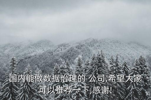 國內(nèi)能做數(shù)據(jù)治理的 公司,希望大家可以推薦一下,感謝!