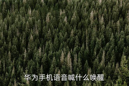 華為智慧，華為智慧助手今天可以卸載嗎
