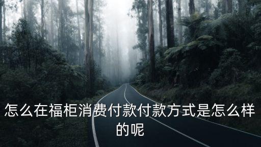 怎么在福柜消費付款付款方式是怎么樣的呢