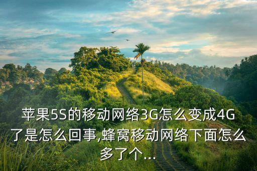 5s打開數(shù)據(jù)流量就是4g,蘋果5s打開數(shù)據(jù)流量后無法上網(wǎng)