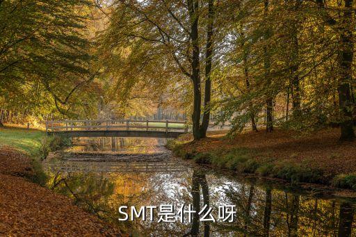 SMT是什么呀