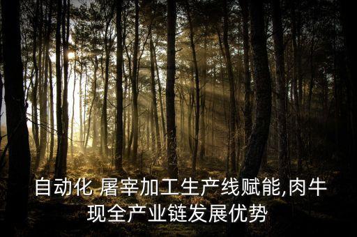  自動化 屠宰加工生產(chǎn)線賦能,肉?，F(xiàn)全產(chǎn)業(yè)鏈發(fā)展優(yōu)勢