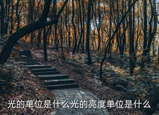 光的單位是什么光的亮度單位是什么