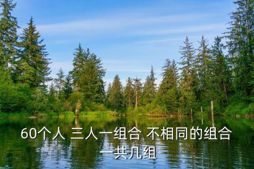 60個人 三人一組合 不相同的組合 一共幾組