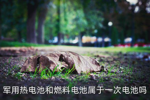 軍用熱電池和燃料電池屬于一次電池嗎