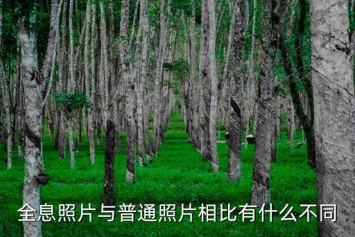 全息照片與普通照片相比有什么不同