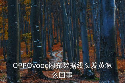 OPPOvooc閃充數(shù)據(jù)線頭發(fā)黃怎么回事