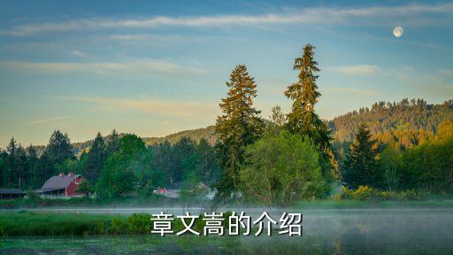 章文嵩的介紹