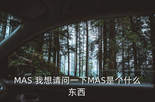 mas，MAS 我想請(qǐng)問(wèn)一下MAS是個(gè)什么東西