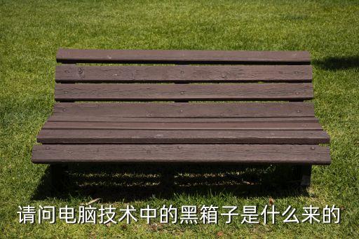 請(qǐng)問(wèn)電腦技術(shù)中的黑箱子是什么來(lái)的