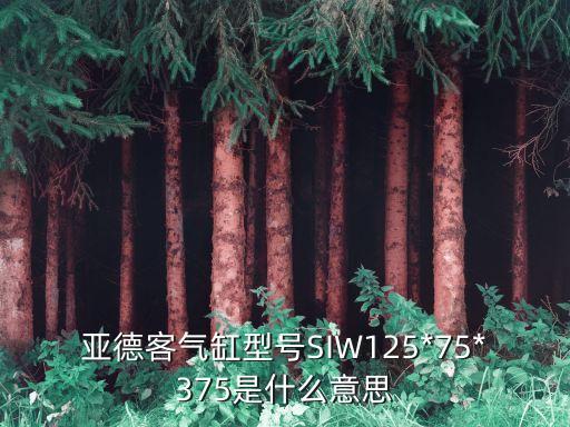 亞德客氣缸型號SIW125*75*375是什么意思