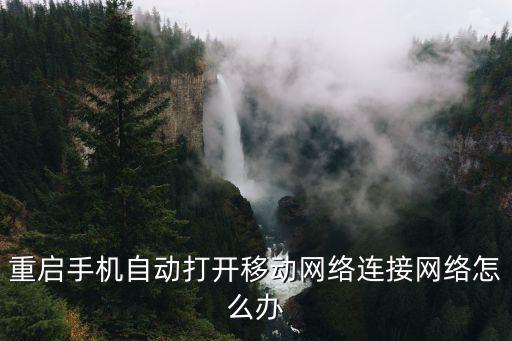 手機(jī)移動數(shù)據(jù)自動打開怎么回事啊,手機(jī)自動打開怎么辦?