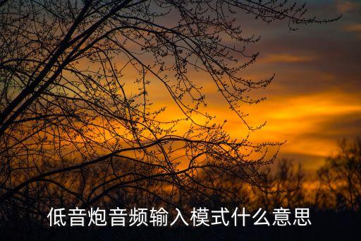 低音炮音頻輸入模式什么意思