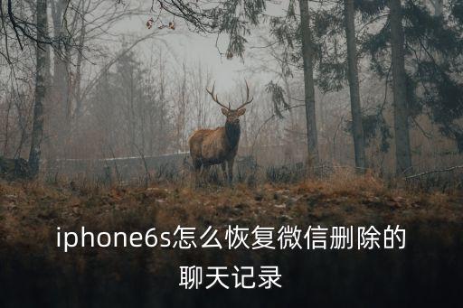 iphone6s怎么恢復(fù)微信刪除的聊天記錄