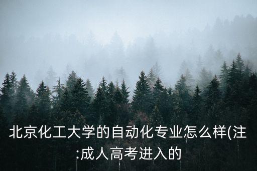 北京化工大學(xué)的自動(dòng)化專業(yè)怎么樣(注:成人高考進(jìn)入的