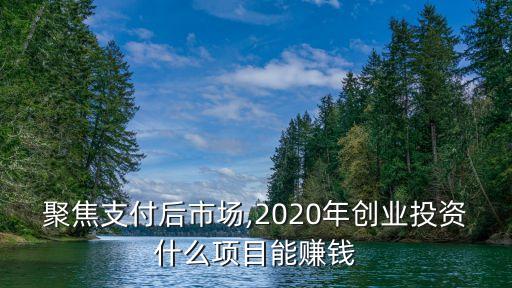 聚焦支付后市場,2020年創(chuàng)業(yè)投資什么項目能賺錢