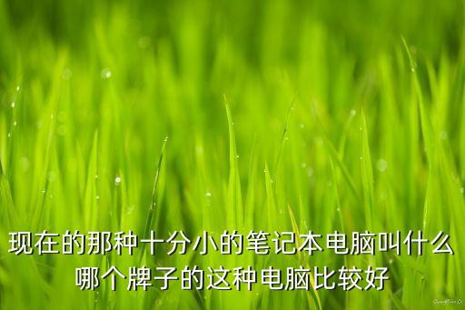 現(xiàn)在的那種十分小的筆記本電腦叫什么哪個(gè)牌子的這種電腦比較好