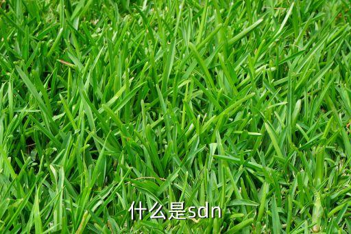什么是sdn