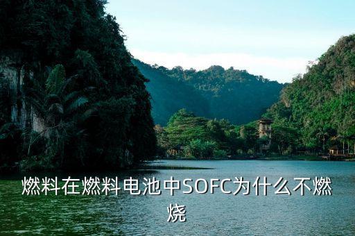 sofc燃料電池，固類氧化物燃料電池SOFC若用氫氣作燃料氫氣應(yīng)通入什