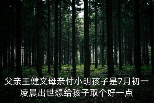王健文，父親王健文母親付小明孩子是7月初一凌晨出世想給孩子取個好一點