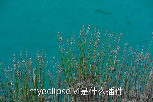 vim插件，myeclipse vi是什么插件