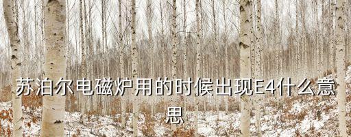 蘇泊爾電磁爐e4，蘇泊爾電磁爐開機(jī)顯示E4是什么原因