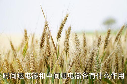 中間繼電器作用，時(shí)間繼電器和中間繼電器各有什么作用