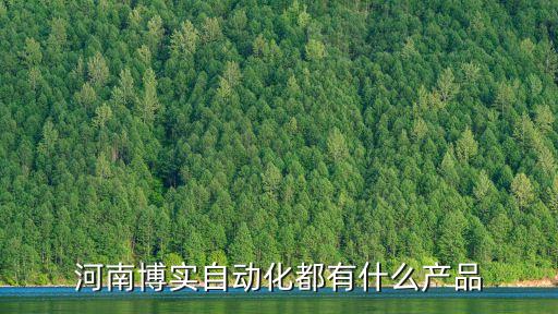 河南博實自動化都有什么產品