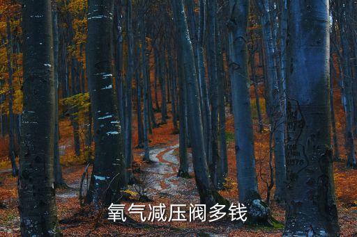 氧氣減壓閥，氧氣減壓閥多錢