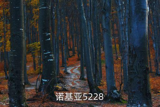 諾基亞5228