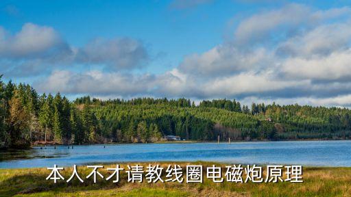 本人不才請(qǐng)教線圈電磁炮原理