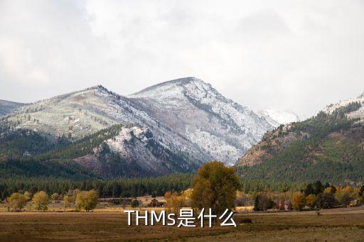 tpms是什么，THMs是什么
