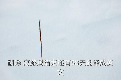 翻譯 離游戲結(jié)束還有58天翻譯成英文