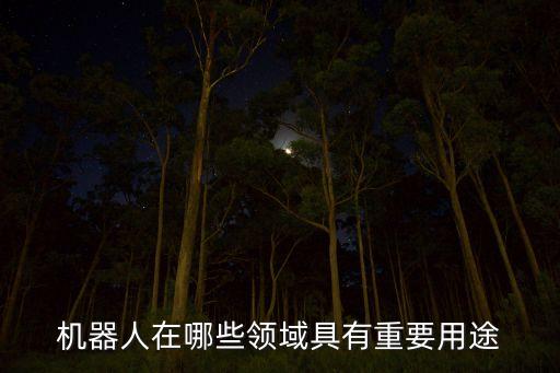 nao機器人的用途,關于機器人的詳細介紹