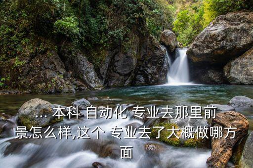 ... 本科 自動化 專業(yè)去那里前景怎么樣,這個 專業(yè)去了大概做哪方面