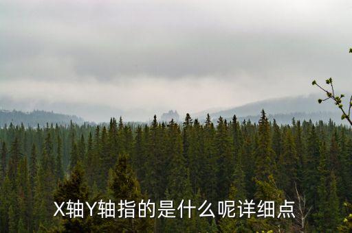 X軸Y軸指的是什么呢詳細(xì)點(diǎn)